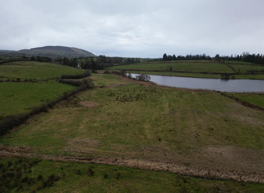 Ardrea, Ballymote, F56X954