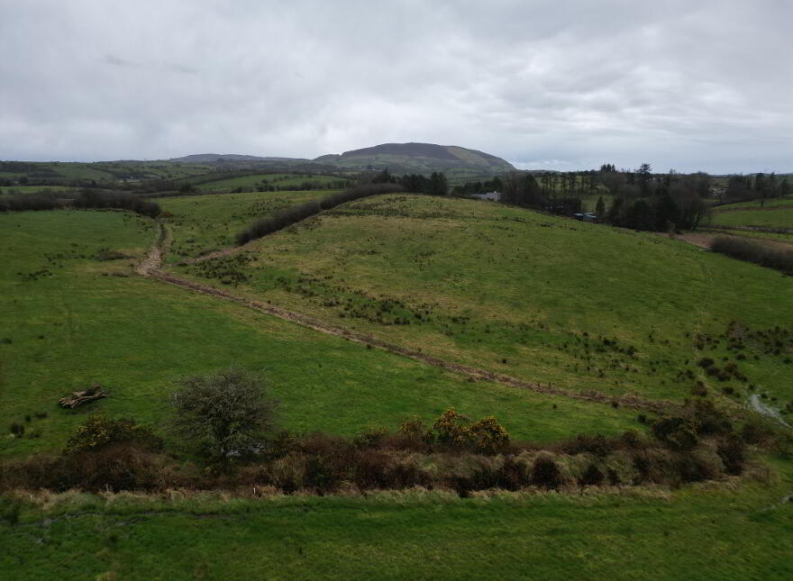 Ardrea, Ballymote, F56X954