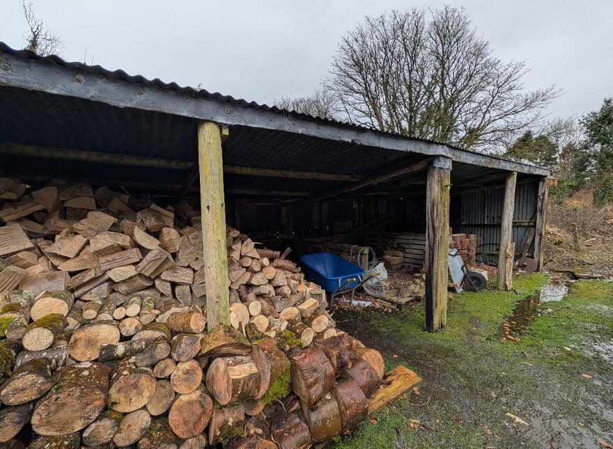 Ardrea, Ballymote, F56X954