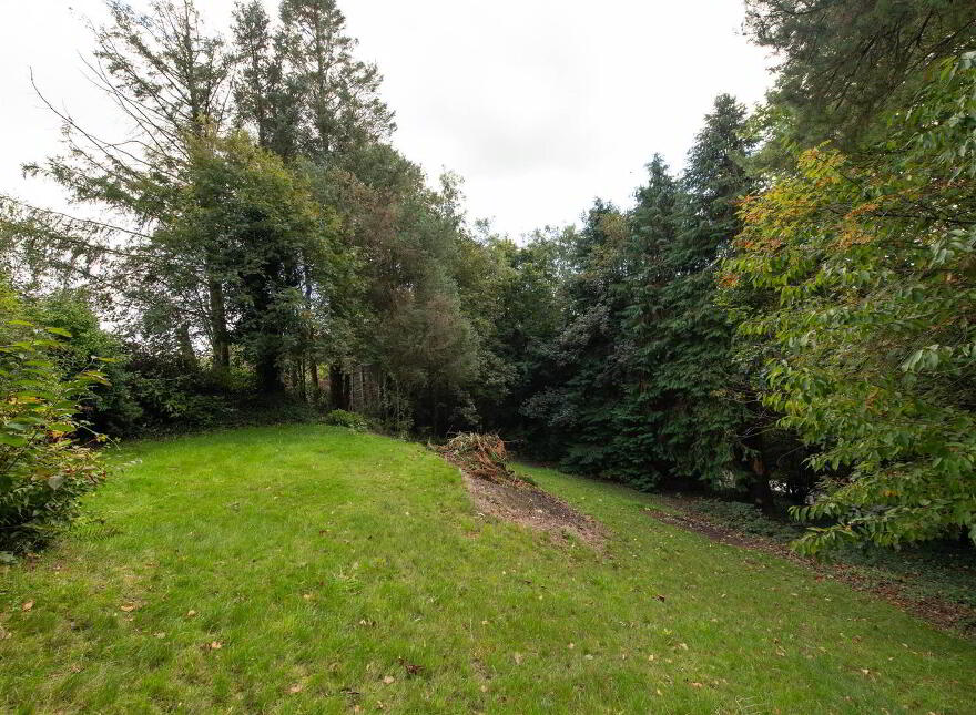8 Millhill Drive, Ballynahinch, BT24 8LL