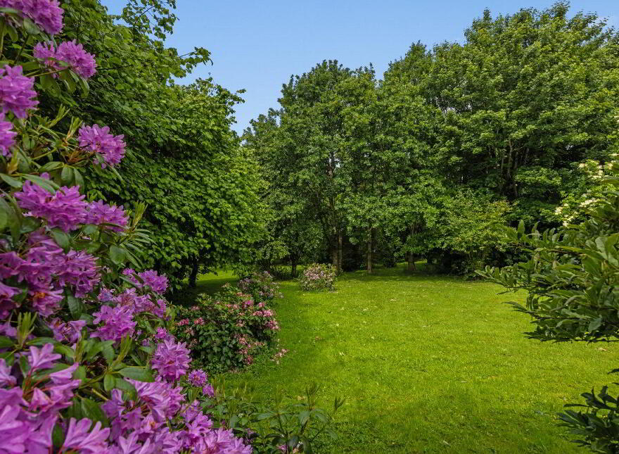 76A Magheraknock Road, Ballynahinch, BT24 8TJ
