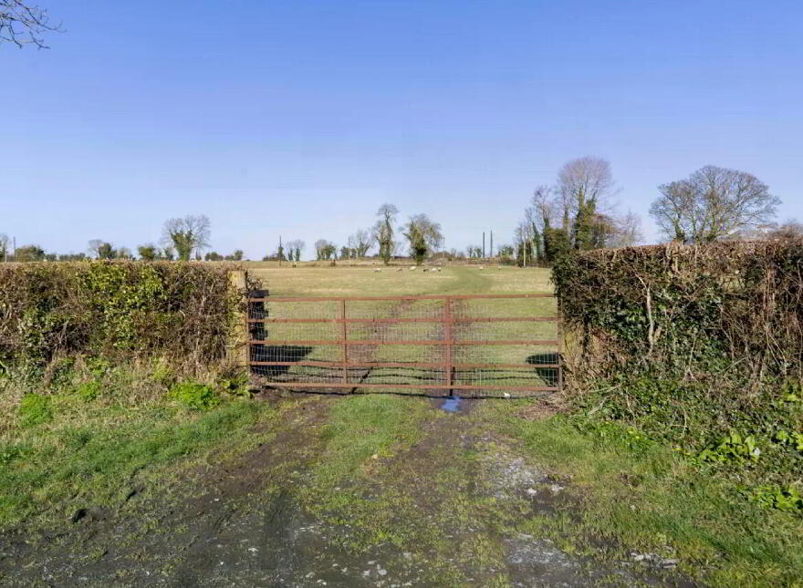 Lands At Herbertstown (Lot 1), Approx, 7.8 Hectares (19, 2 Acres), Dunboyne