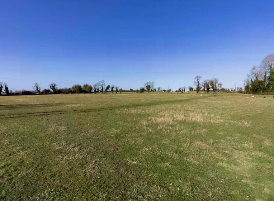 Lands At Herbertstown (Lot 1), Approx, 7.8 Hectares (19, 2 Acres), Dunboyne