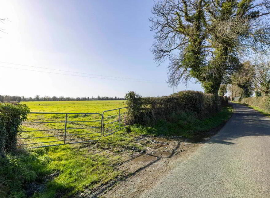 Lands The Entire), 17.3 Hectares (42, 8 Acres), Dunboyne, AT