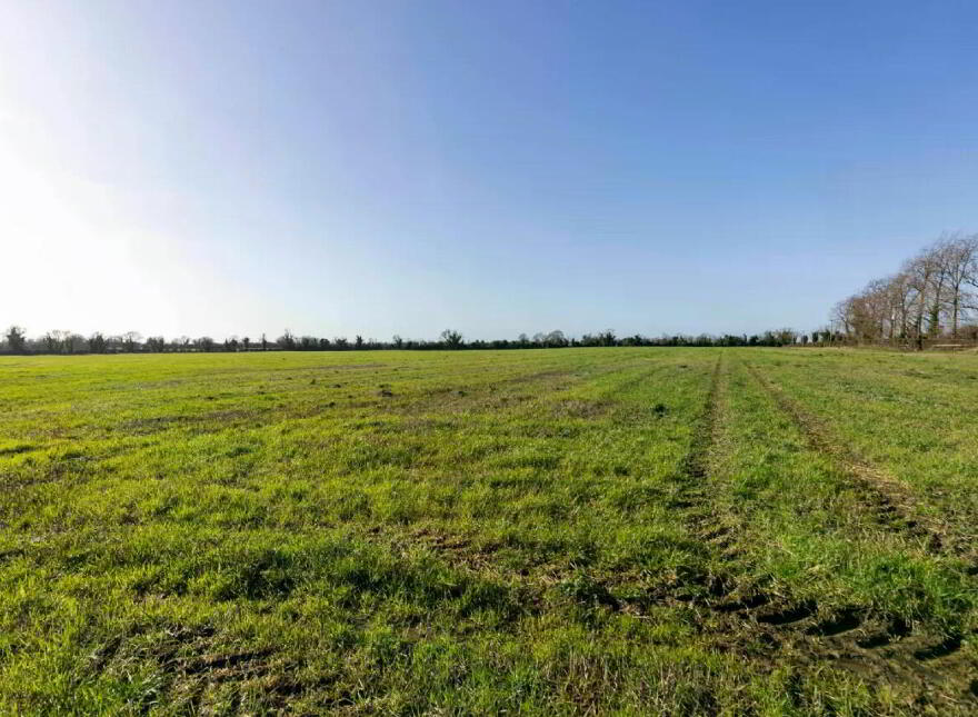 Lands The Entire), 17.3 Hectares (42, 8 Acres), Dunboyne, AT