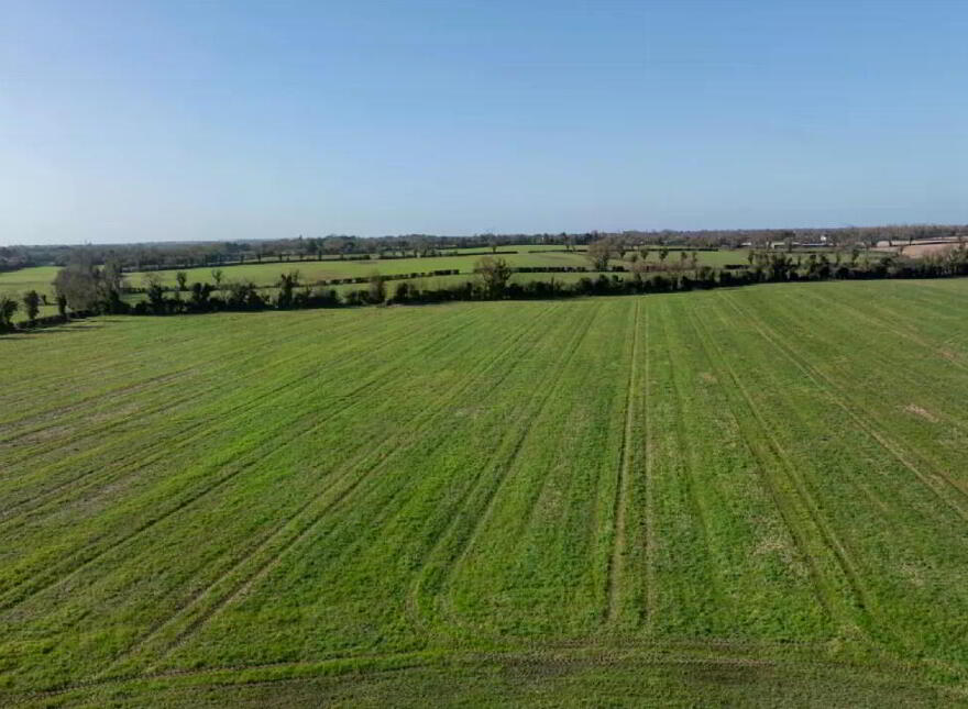 Lands The Entire), 17.3 Hectares (42, 8 Acres), Dunboyne, AT