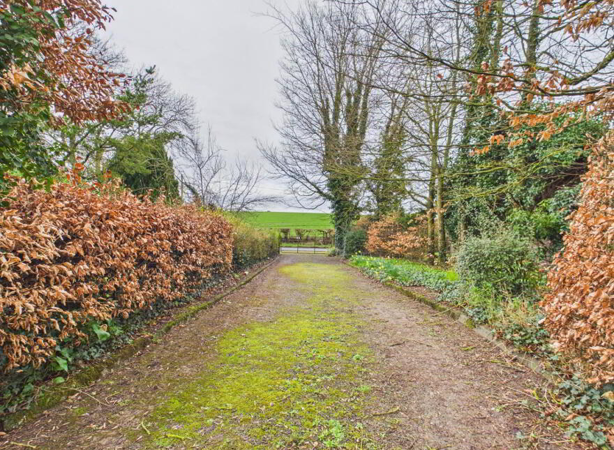 Wrights Cross Villa, Athy, R14P520