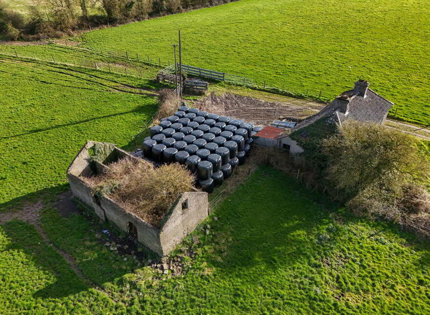Ard, Geashill