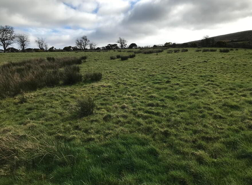 'Cromaghs', Armoy, Ballymoney, BT53 8RB