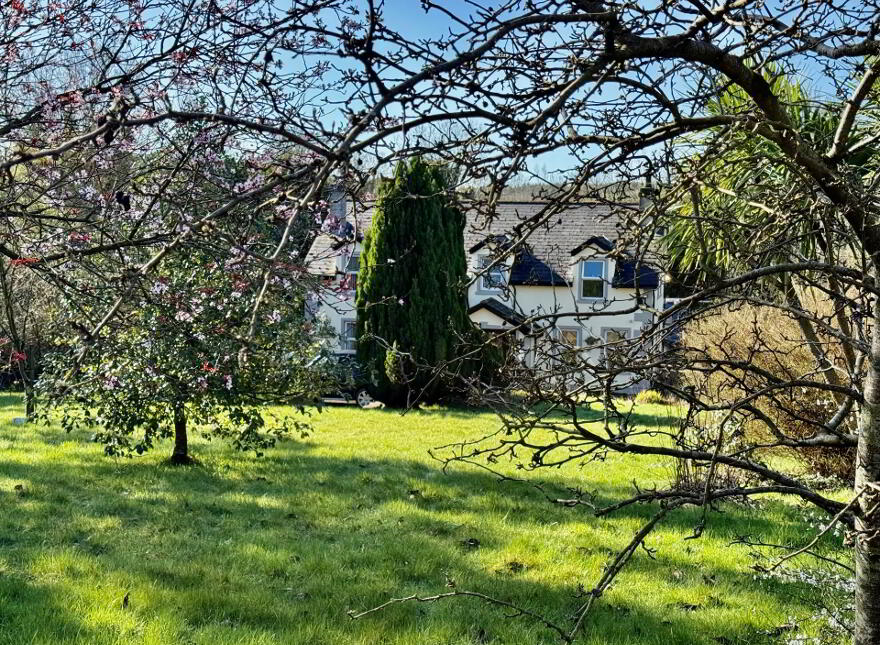 19 Seavaghan Road, Ballynahinch, BT24 8SP