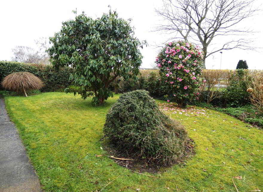 86 Shanreagh Park, Limavady, BT49 0SE