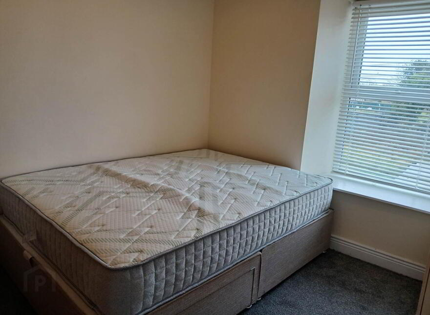 8 St. Kieran`s Tce, Coosan Road, Athlone, N37V046