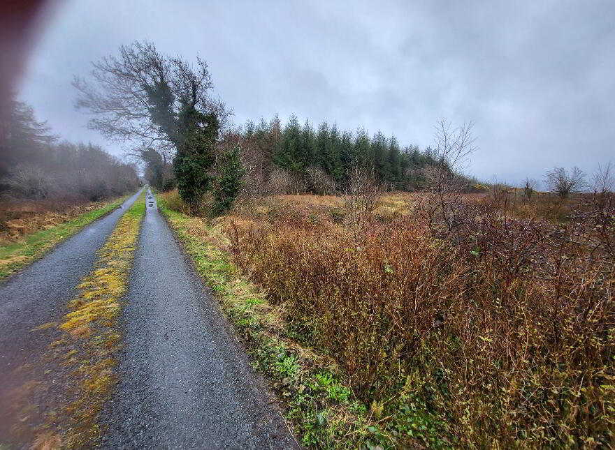 Fuel, Curry, Co Sligo
