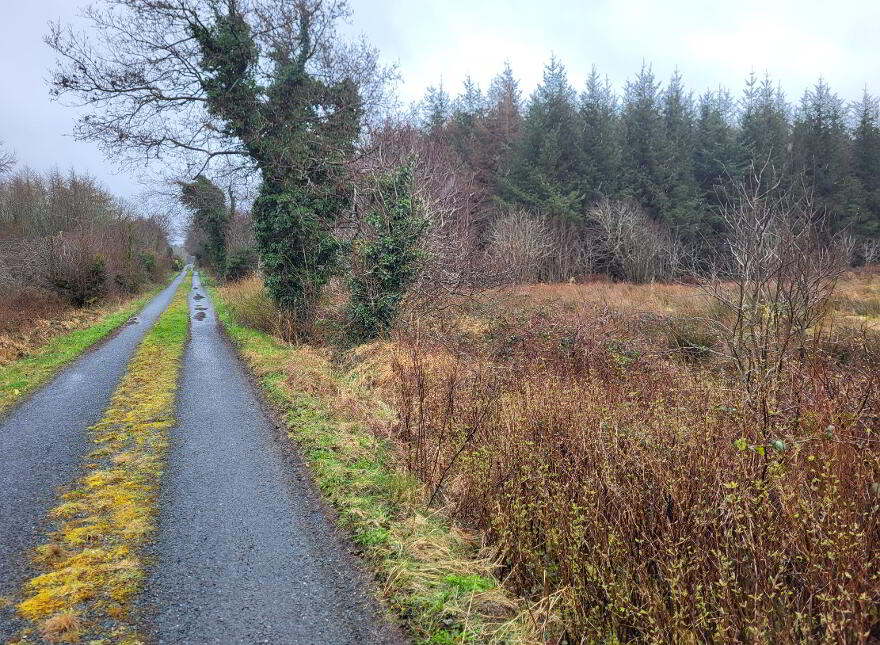 Fuel, Curry, Co Sligo