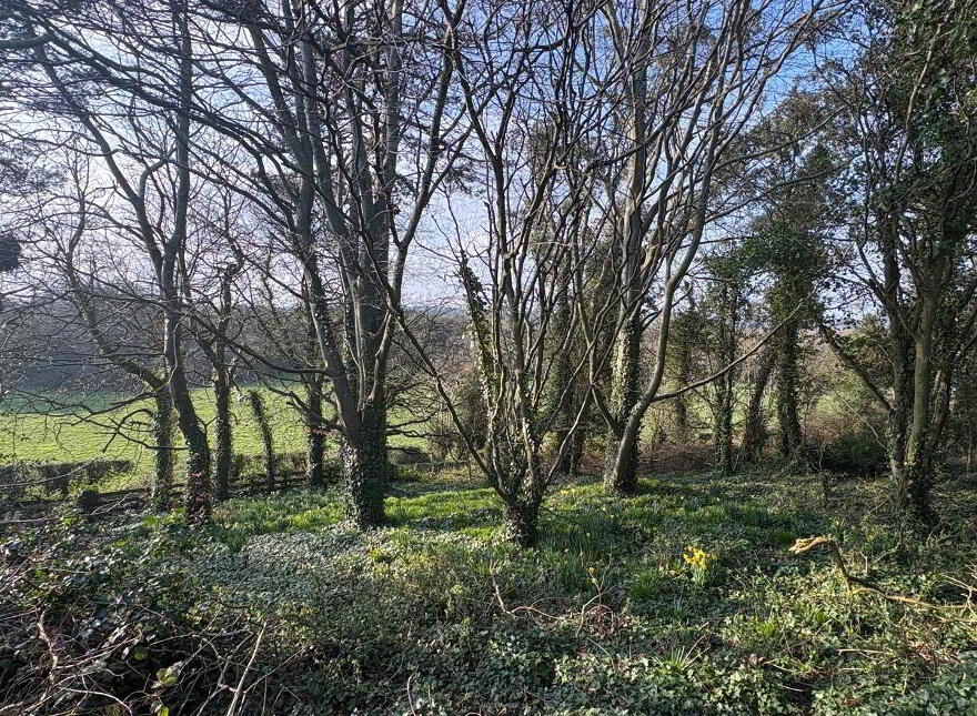 Cuan Hills Farm, 39 Killinakin Road, Killinchy, BT23 6PS
