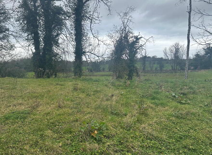 90 Moss Road, Waringstown, BT66 7QZ photo