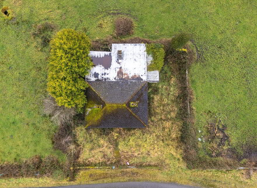 Canbo, Croghan, Croghan, F52VX45
