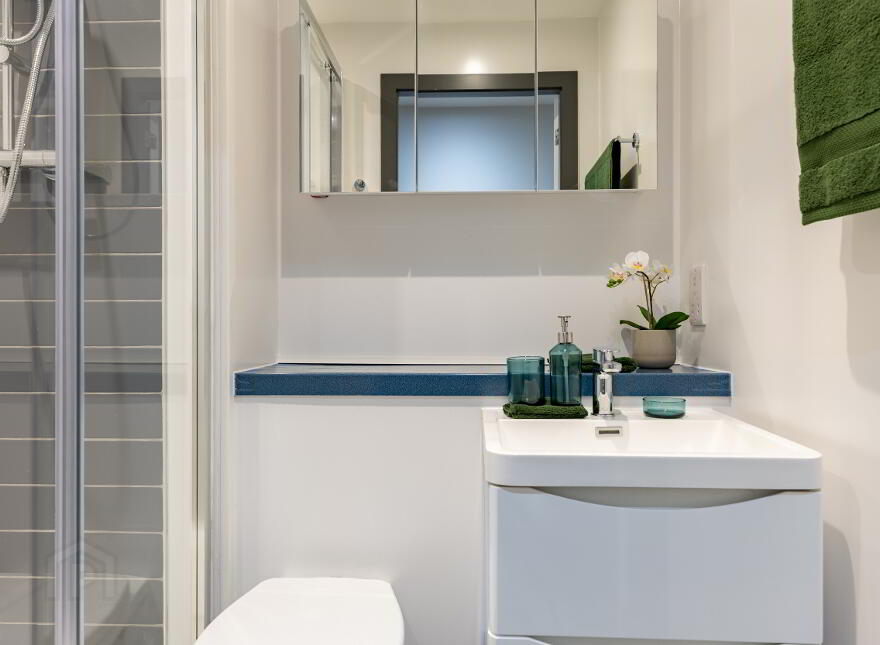 Premium En Suite, Biscuit Factory, 140 Little Donegall St, Belfast, BT1 2FL