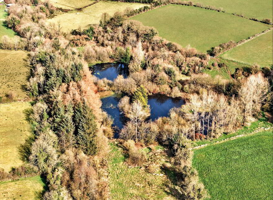 Ballycregagh Lower, 87 Fivey Road, Stranocum, Ballymoney, BT53 8JJ