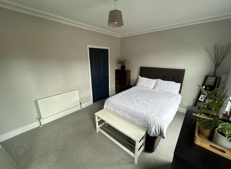42 Delhi Street, Belfast, BT7 3AL