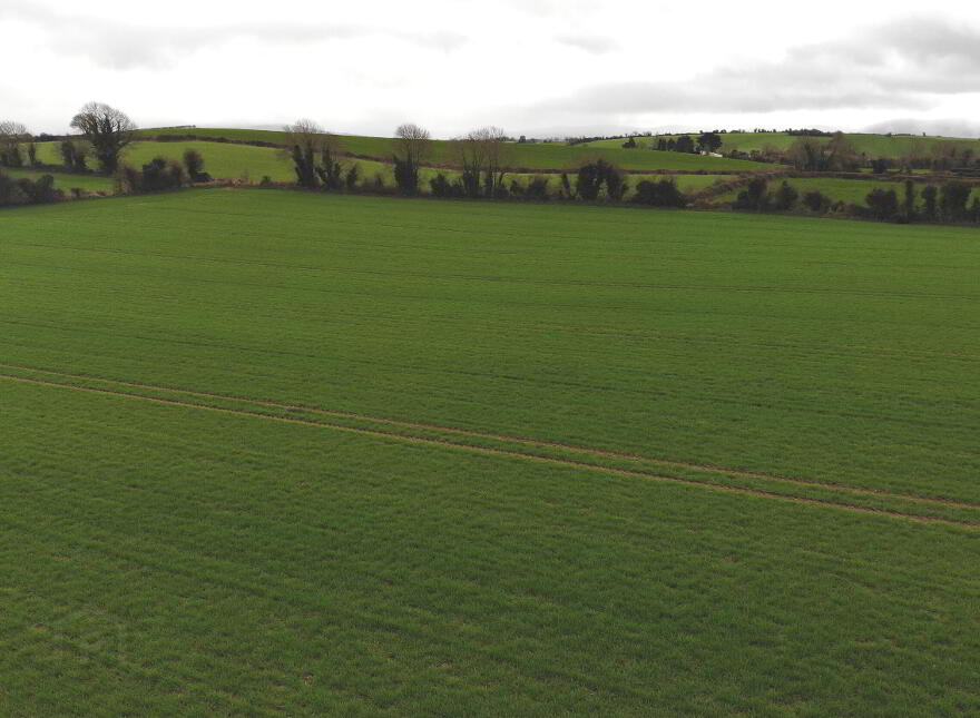 Circa 14.75 Acres At, Newtownadam, Cahir, Co. Tipperary