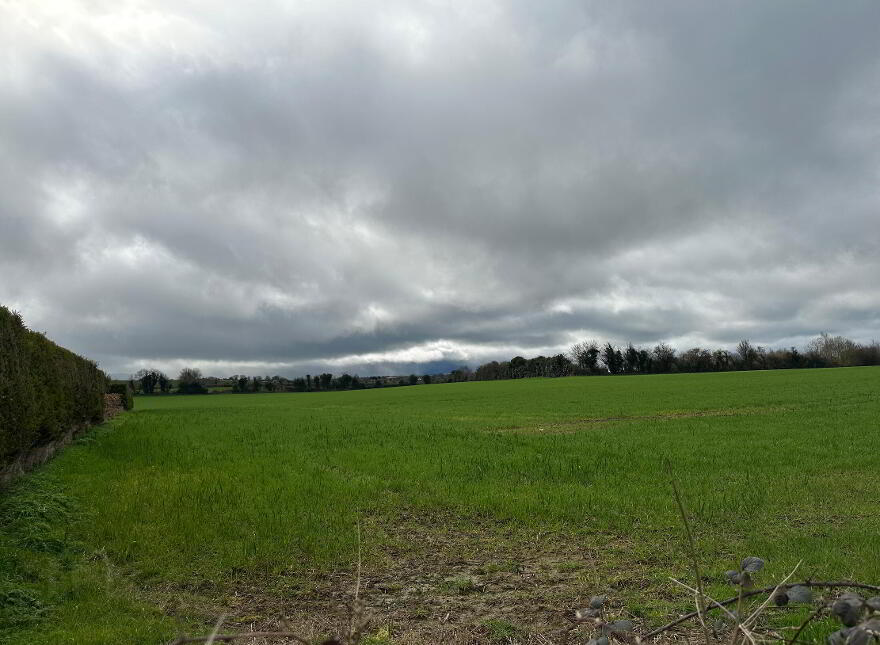 Circa 14.75 Acres At, Newtownadam, Cahir, Co. Tipperary