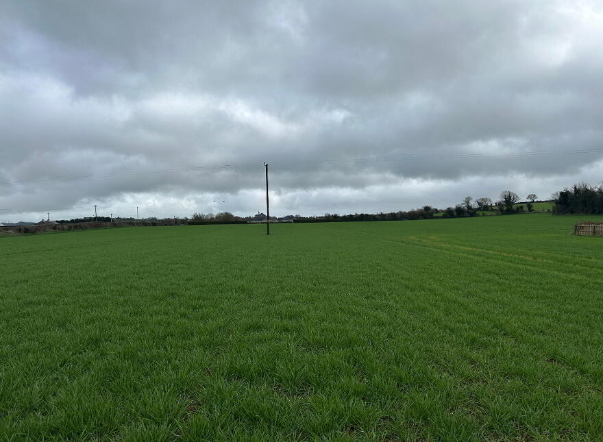 Circa 14.75 Acres At, Newtownadam, Cahir, Co. Tipperary