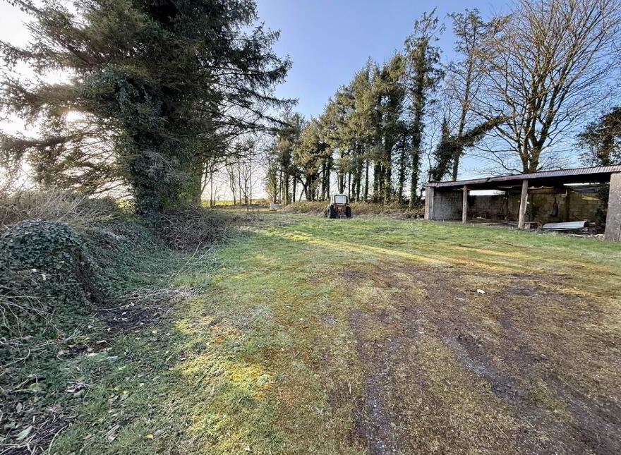 The Blue Ku, Ku, Kiltivna, Dunmore, H54X883