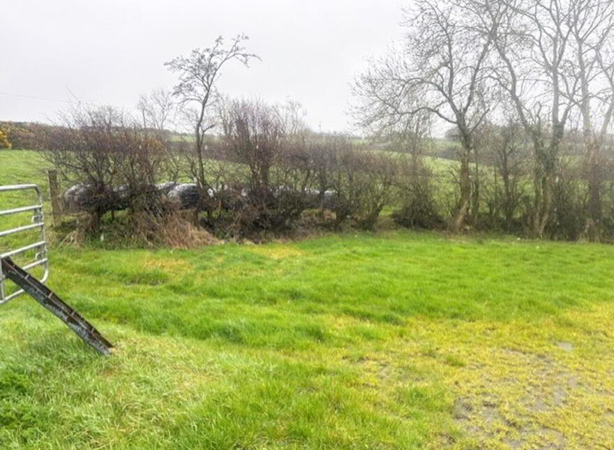 Ballela Road, Banbridge, BT32 3TF