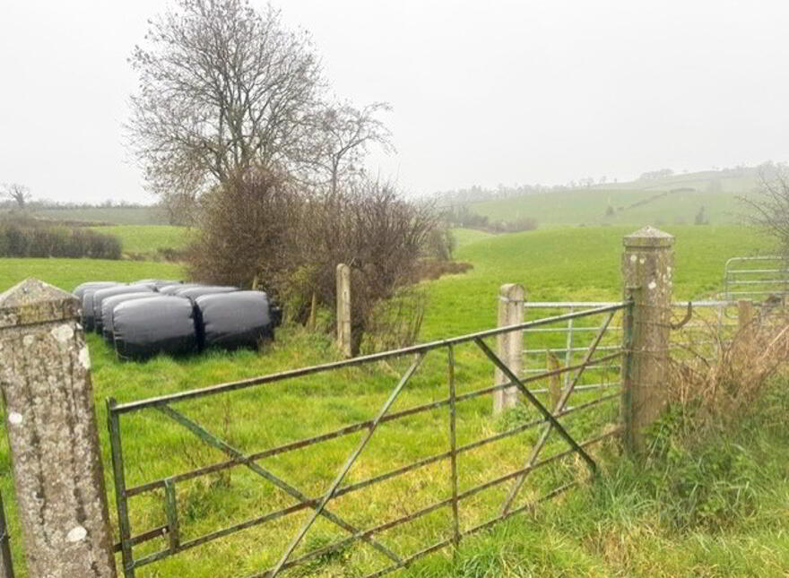 Ballela Road, Banbridge, BT32 3TF