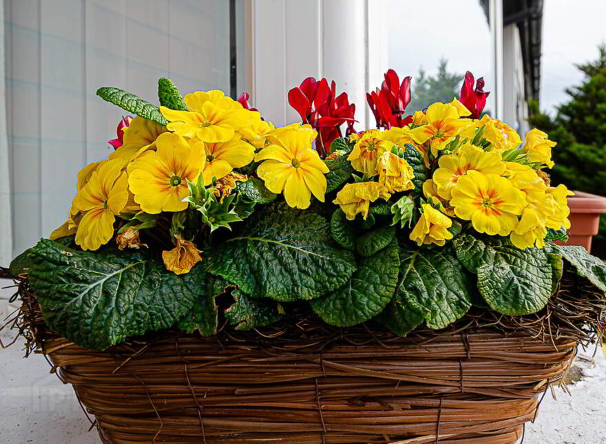 44 Ranelagh Street, Ravenhill, Belfast, BT6 8NP