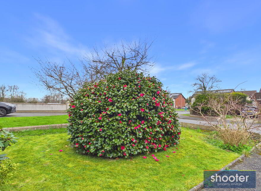 30 Springhill Drive, Newry, BT34 1LJ