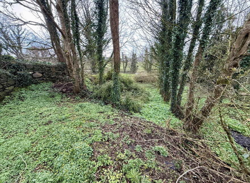 Sion Hill, Dunmore, H54Y521