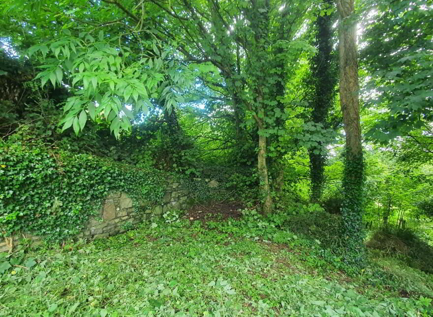 Sion Hill, Dunmore, H54Y521