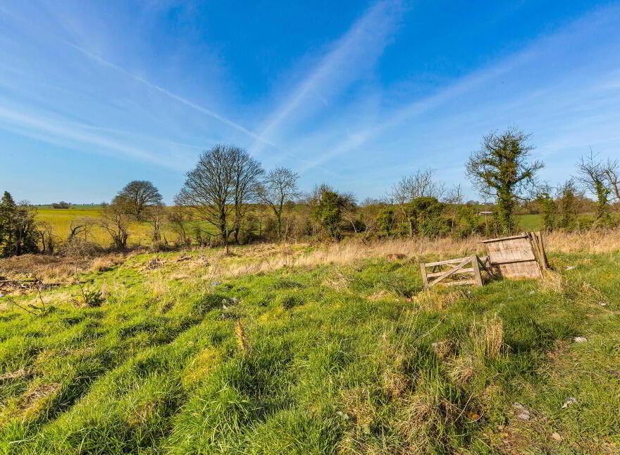 Horath, Carlanstown, Kells, A82K76W