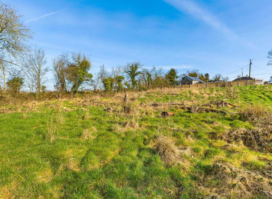 Horath, Carlanstown, Kells, A82K76W