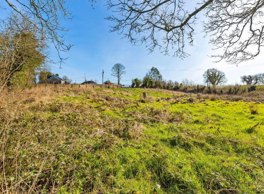 Horath, Carlanstown, Kells, A82K76W