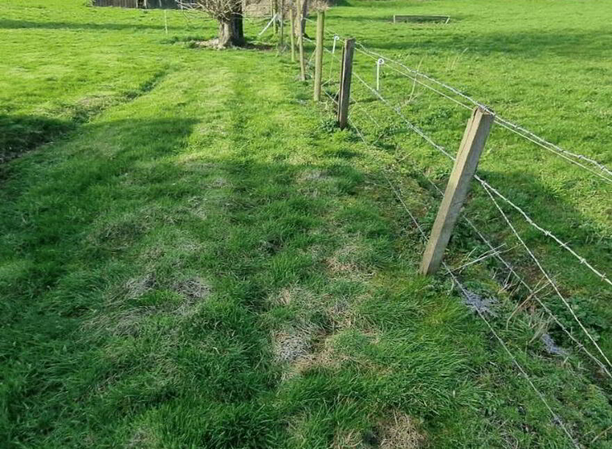 3 Bedroom Bungalow With Garage And Plot Of, Land