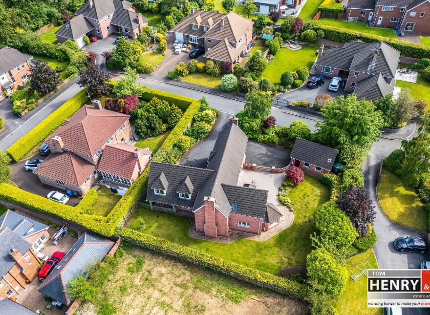 9 Upper Parklands, Old Eglish Road, Dungannon, BT71 7JW