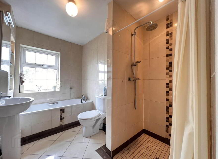 Woodenstown Lower, Cahir, County Tipperary, E21Y062