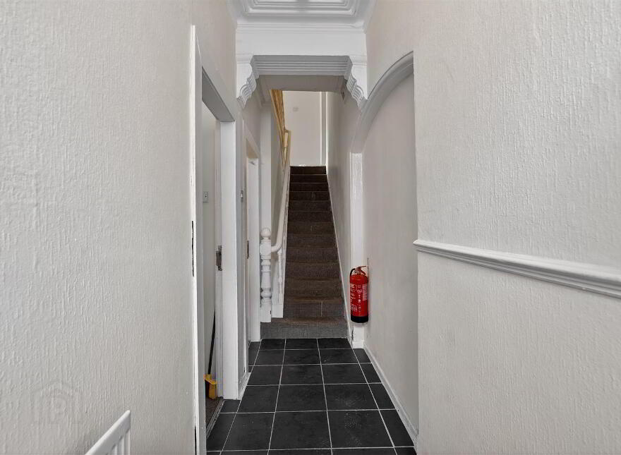 29 Elaine Street, Belfast, BT9 5AR