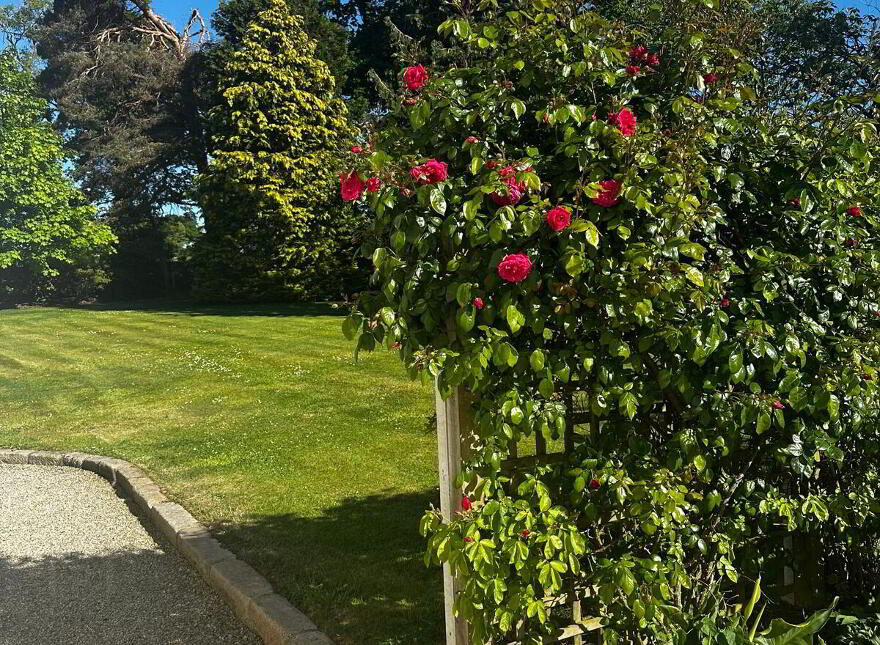 Ederowen Farm, 43 Lurgan Road, Glenavy, Crumlin, BT29 4QB
