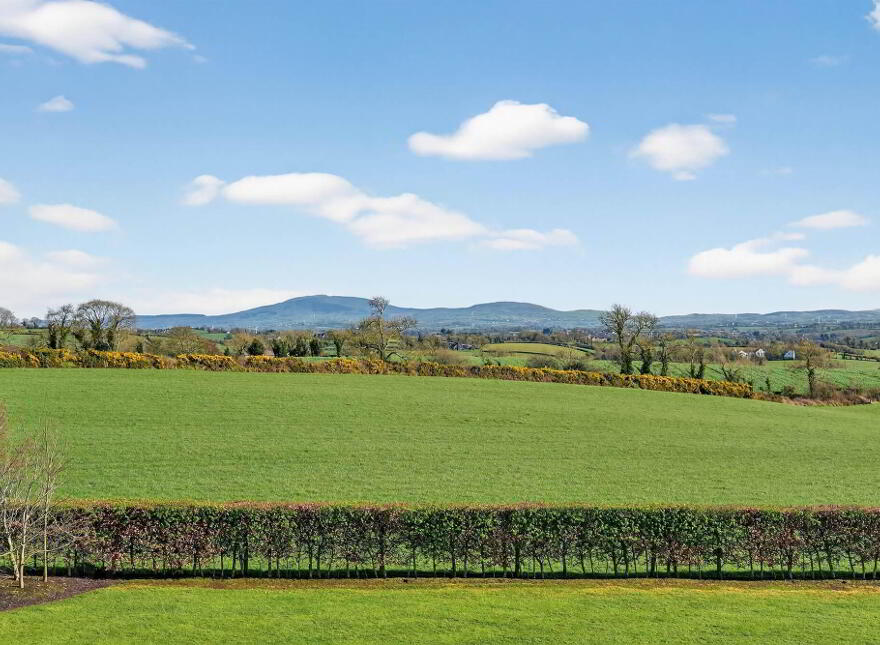 40 Gregorlough Road, Dromore, BT25 1RR