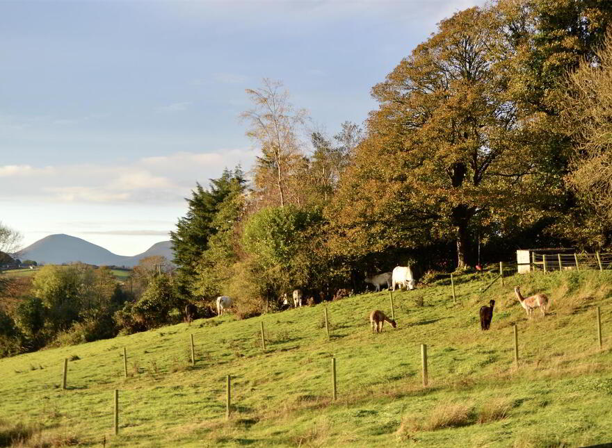 39 Cherryhill Road, Ballynahinch, BT24 8NW