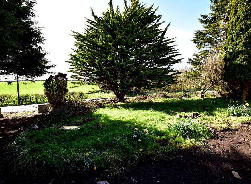 19 Ballyblack Road East, Newtownards, BT22 2AB
