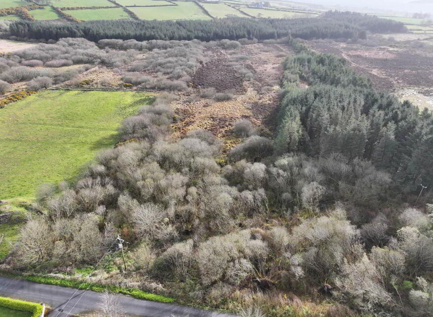 Ballynally, Moville