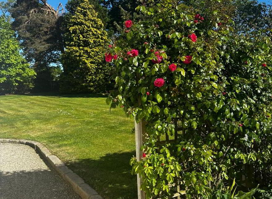 43 Lurgan Road, Glenavy, Crumlin, BT29 4QB