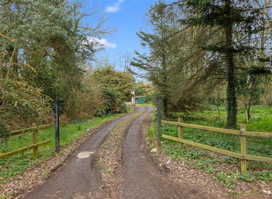 A FOR SALE AS WHOLE OR IN LOTS, 55 Halftown Road, Maze, Lisburn, BT27 5RF
