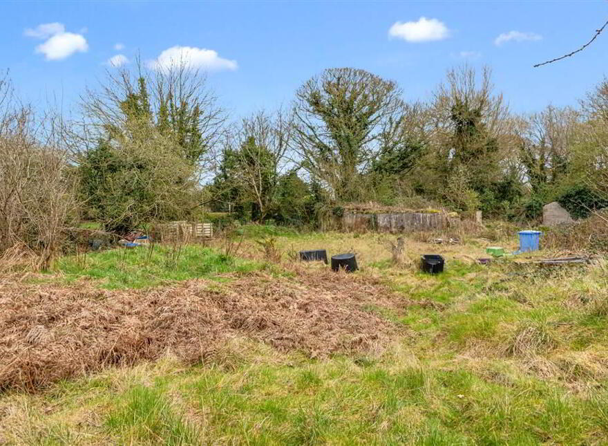 A FOR SALE AS WHOLE OR IN LOTS, 55 Halftown Road, Maze, Lisburn, BT27 5RF