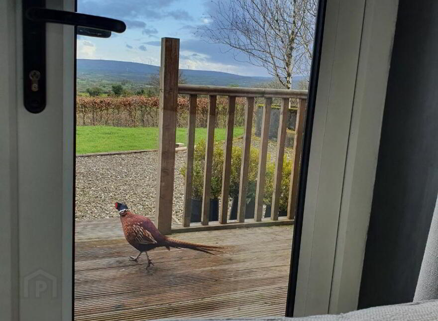 "Harefield House", 44 Cashty Road, Omagh, BT78 5RL